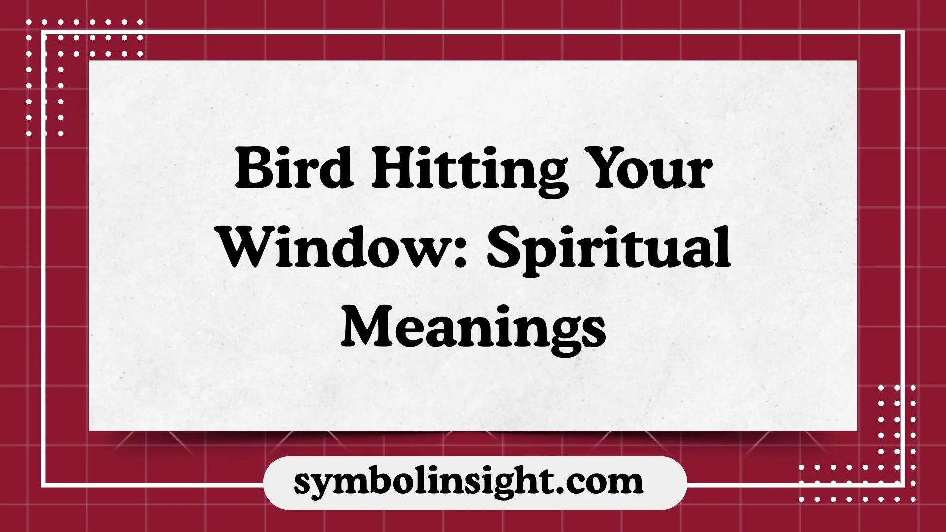 Bird Hitting Your Window: Spiritual Meanings