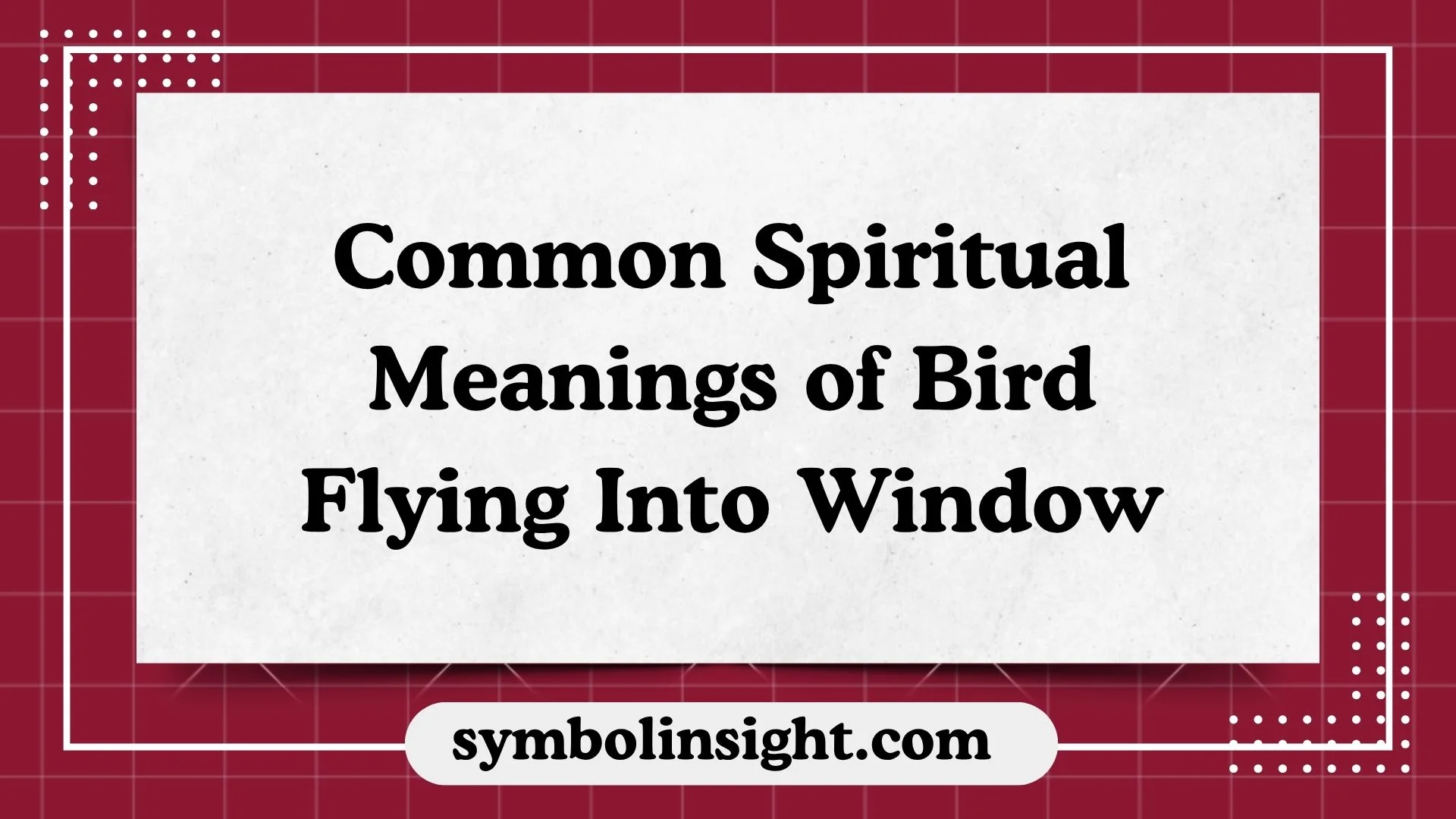 Common Spiritual Meanings of Bird Flying Into Window