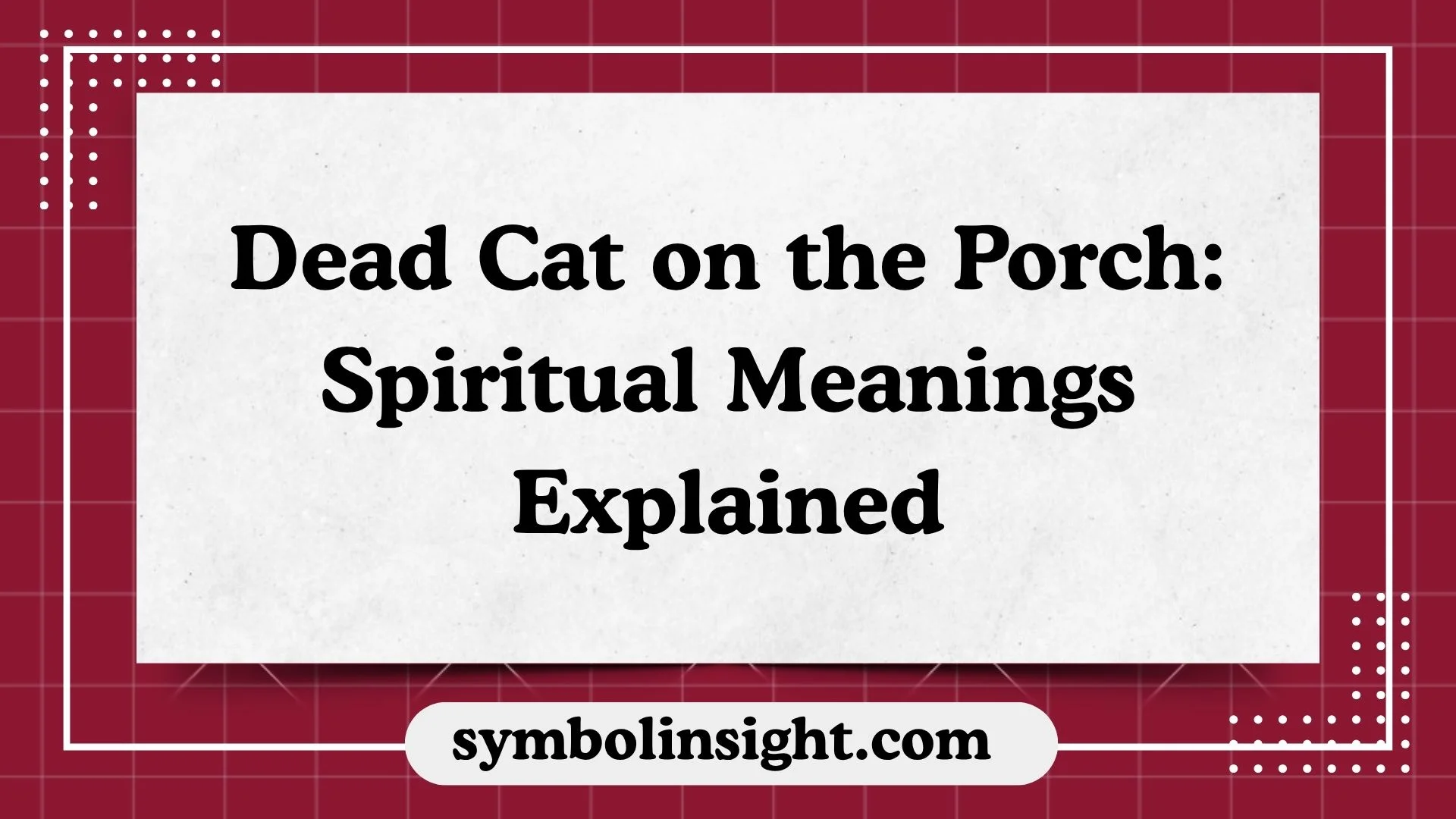 Dead Cat on the Porch: Spiritual Meanings Explained