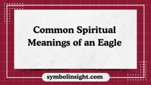 Common Spiritual Meanings of an Eagle