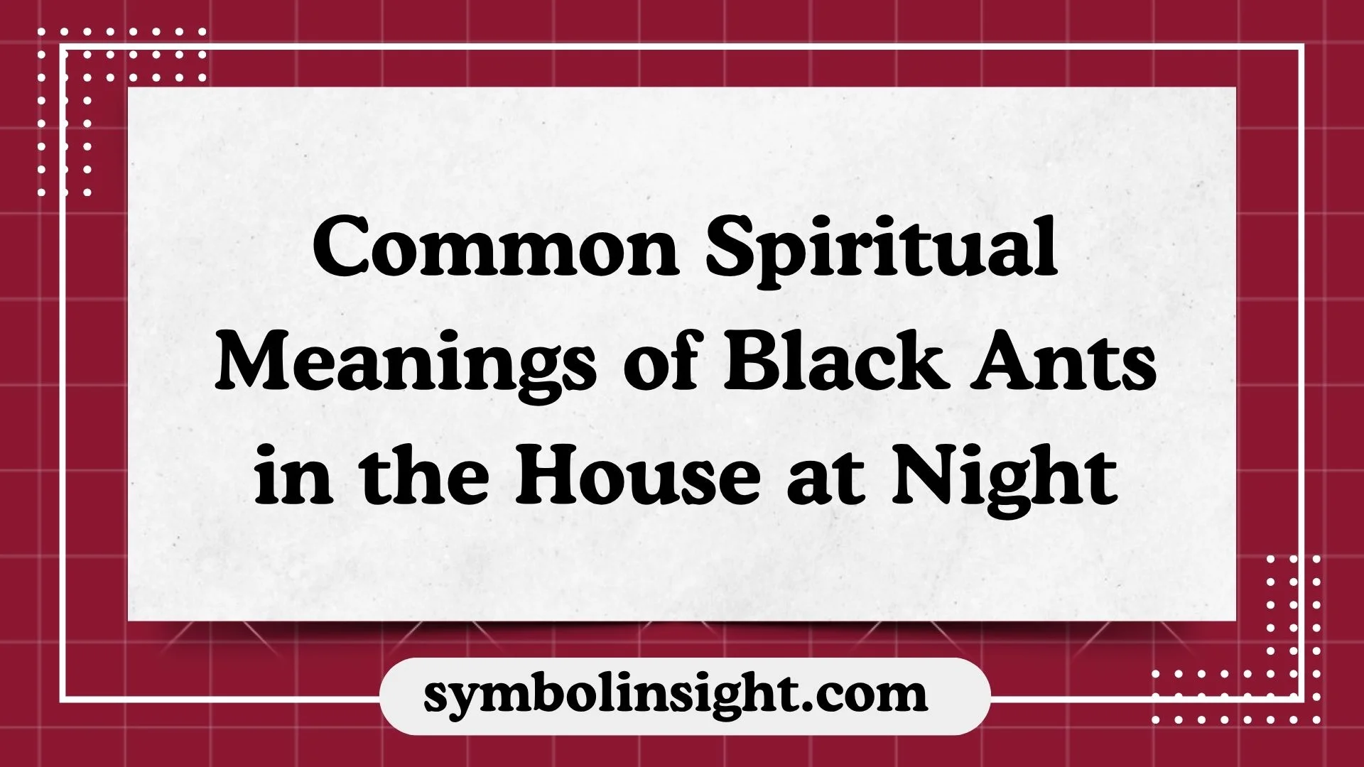 Common Spiritual Meanings of Black Ants in the House at Night