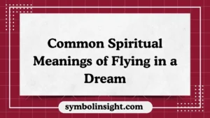 Common Spiritual Meanings of Flying in a Dream