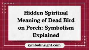Hidden Spiritual Meaning of Dead Bird on Porch: Symbolism Explained