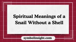 Spiritual Meanings of a Snail Without a Shell