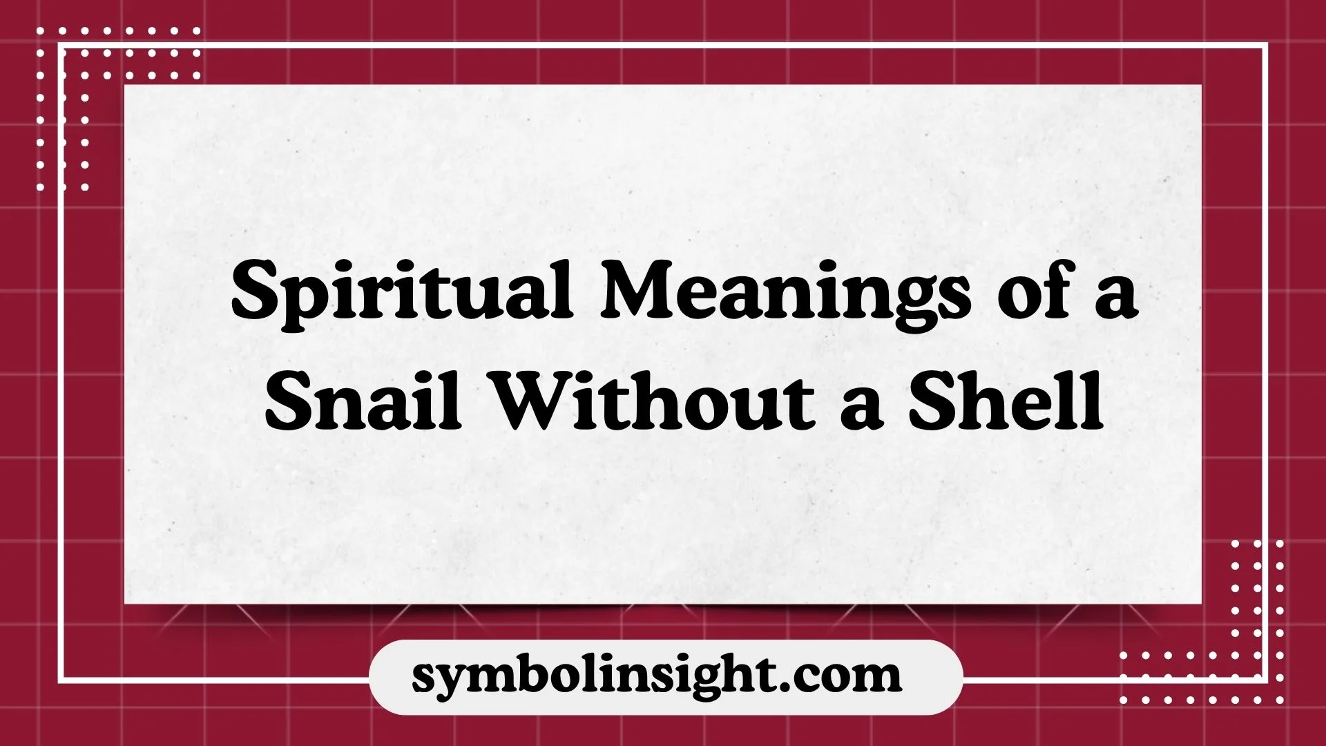 Spiritual Meanings of a Snail Without a Shell