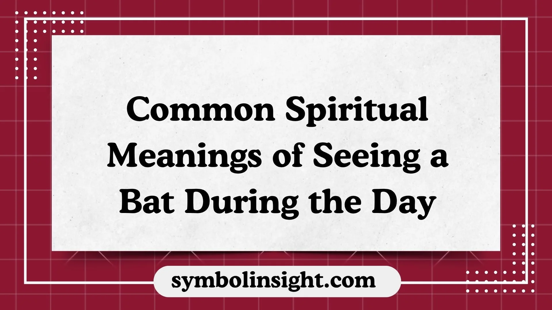 Common Spiritual Meanings of Seeing a Bat During the Day