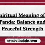 Spiritual Meaning of a Panda: Balance and Peaceful Strength